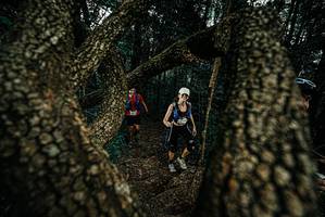 BIB: 
                            <button type="button" onclick="openModal(25693679)" class="btn btn-primary btn-sm float-right btn-popup" data-toggle="modal" data-target=".modal-high-quality">
                        <i class="fas fa-shopping-cart"></i> Add to Cart
                    </button>
                                            <button type="button" onclick="isThisMe(25693679, true)" class="btn btn-success btn-sm float-right btn-popup btn-isme hidden" data-toggle="tooltip" data-placement="bottom" title="นี่คือรูปของคุณใช่ไหม คลิกที่นี่เพื่อเอาเข้าอัลบั้ม">
                        <i class="fas fa-plus"></i> Add to album
                    </button>
                    <button type="button" onclick="isThisMe(25693679, false)" class="btn btn-warning btn-sm float-right btn-popup btn-isnotme hidden">
                        <i class="fas fa-ban"></i> Remove from album
                    </button>